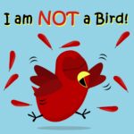 I Am Not a Bird!