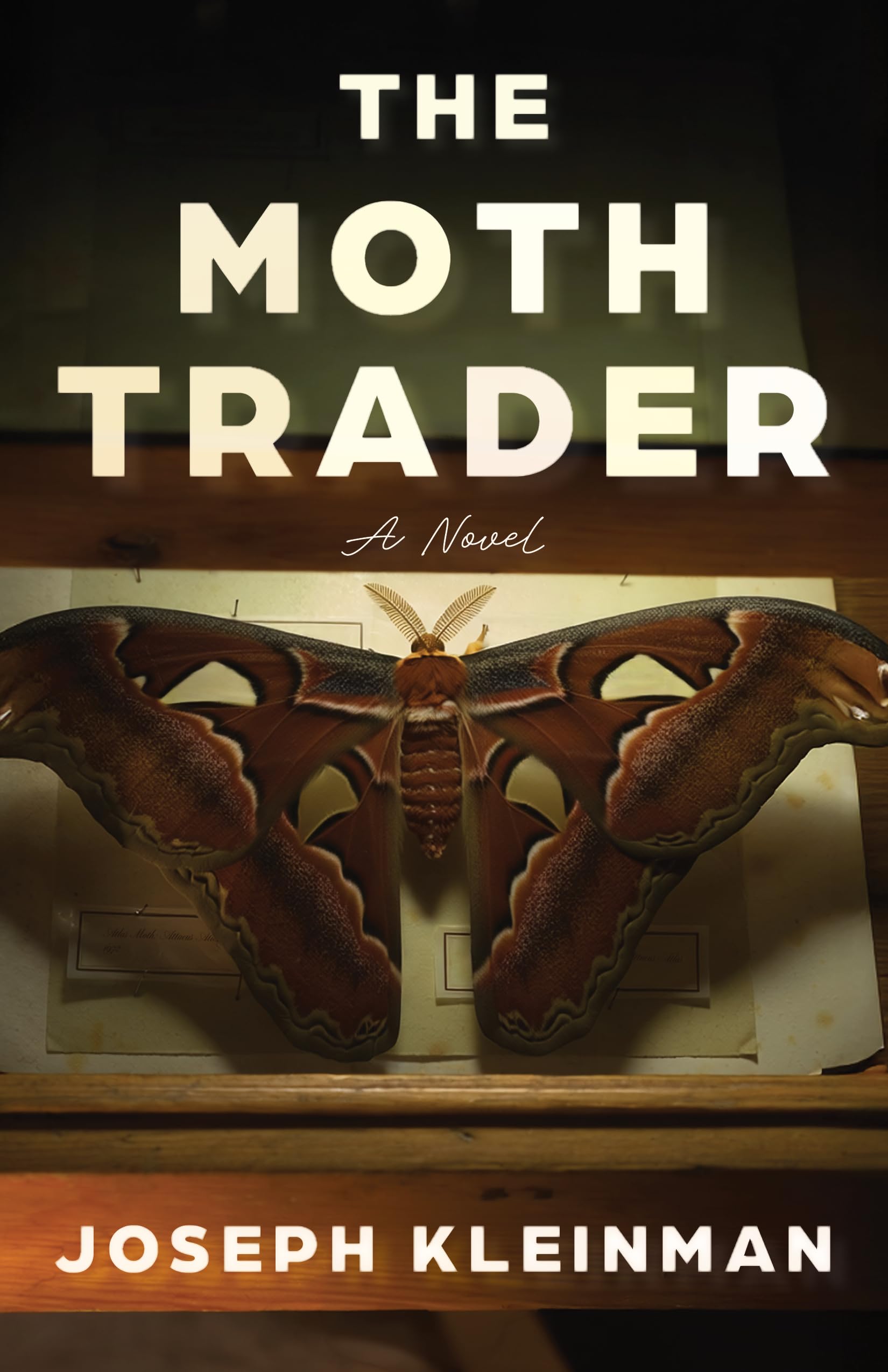 The Moth Trader