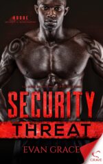 Security Threat Security and Investigation Book