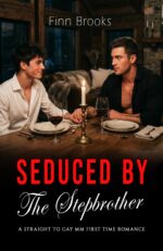 Seduced by the Stepbrother: a Straight to Gay Mm First Time Romance Man's Seduction Book