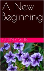 A New Beginning: a Sweet Contemporary Romance