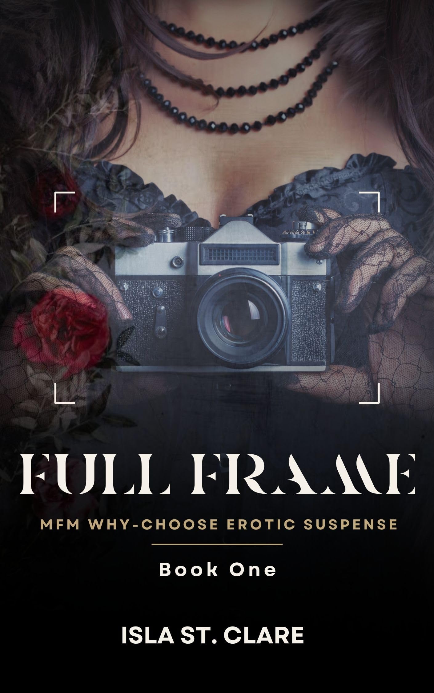 Full Frame: a Slow-burn Mfm Why-choose Erotic Suspense