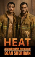 Heat: a Blazing Mm Romance