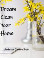 Dream Clean Your Home