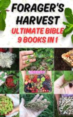 Forager's Harvest Ultimate Bible 9 in 1: the Ultimate Field Guide to Locate, Identify, and Prepare Healthy and Delicious Edible Wild Plants. for All Regions. All Plants in Full Color