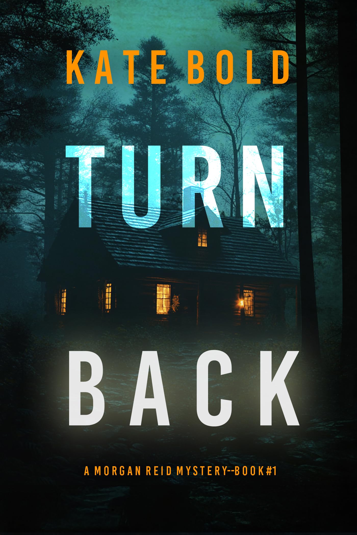 Turn Back Morgan Reid Fbi Suspense Thriller—book