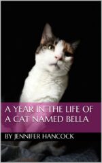 A Year in the Life of a Cat Named Bella