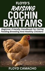 Floyd’s Raising Cochin Bantams: Beginner-friendly Handbook for Caring Feeding Breeding and Healthy Chickens Smart Chicken Care Series