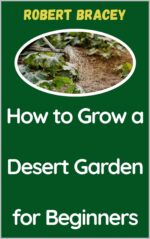 How to Grow a Desert Garden for Beginners