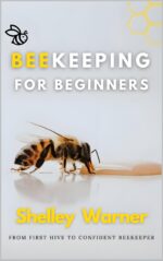 Beekeeping for Beginners: From First Hive to Confident Beekeeper