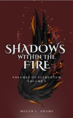 Shadows Within the Fire: Volume I of Elementum Book