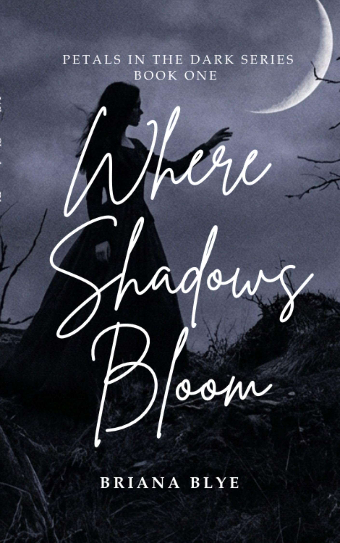 Where Shadows Bloom in the Dark Book