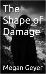 The Shape of Damage: a Young Adult Novel About Trauma, Healing, Identity and Young Love