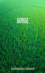 Gorge: a Novel of Suspense