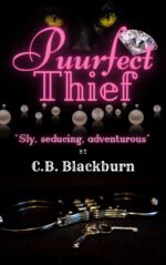 Puurfect Thief and Villain Book Erotica Thief Series