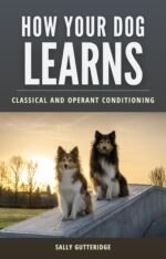 How Your Dog Learns: Classical and Operant Conditioning Guides Book