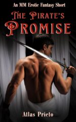 The Pirate's Promise: an Mm Erotic Fantasy Short