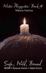 Safe, Wild, Bound: Bdsm Reverse Harem Erotica: Short Smut for Women Playmates Book