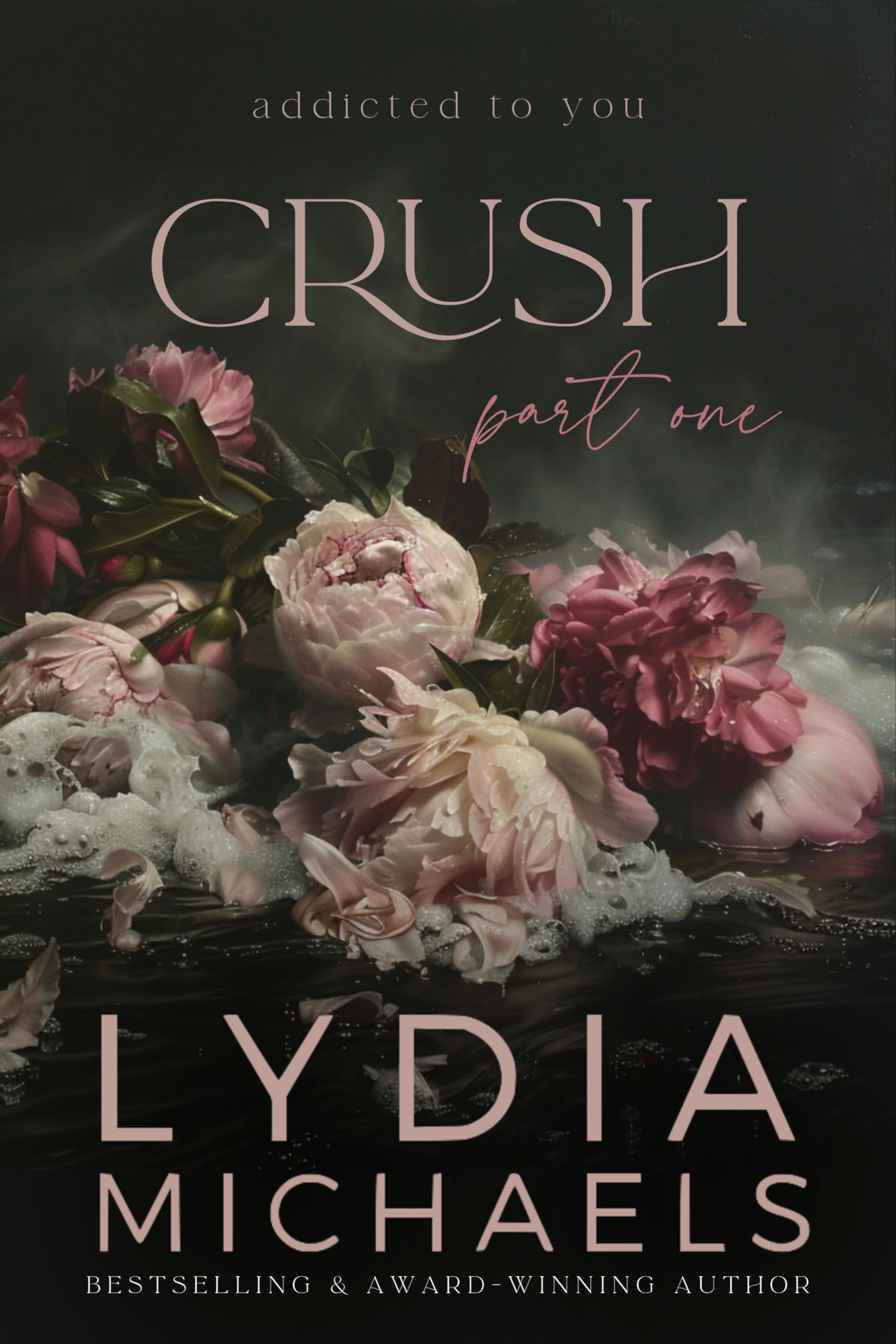 Crush: a Dark Love Triangle to You Book