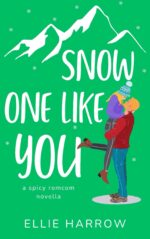 Snow One Like You: a Spicy Romcom Novella Strangers Book