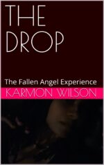 The Drop: the Fallen Angel Experience