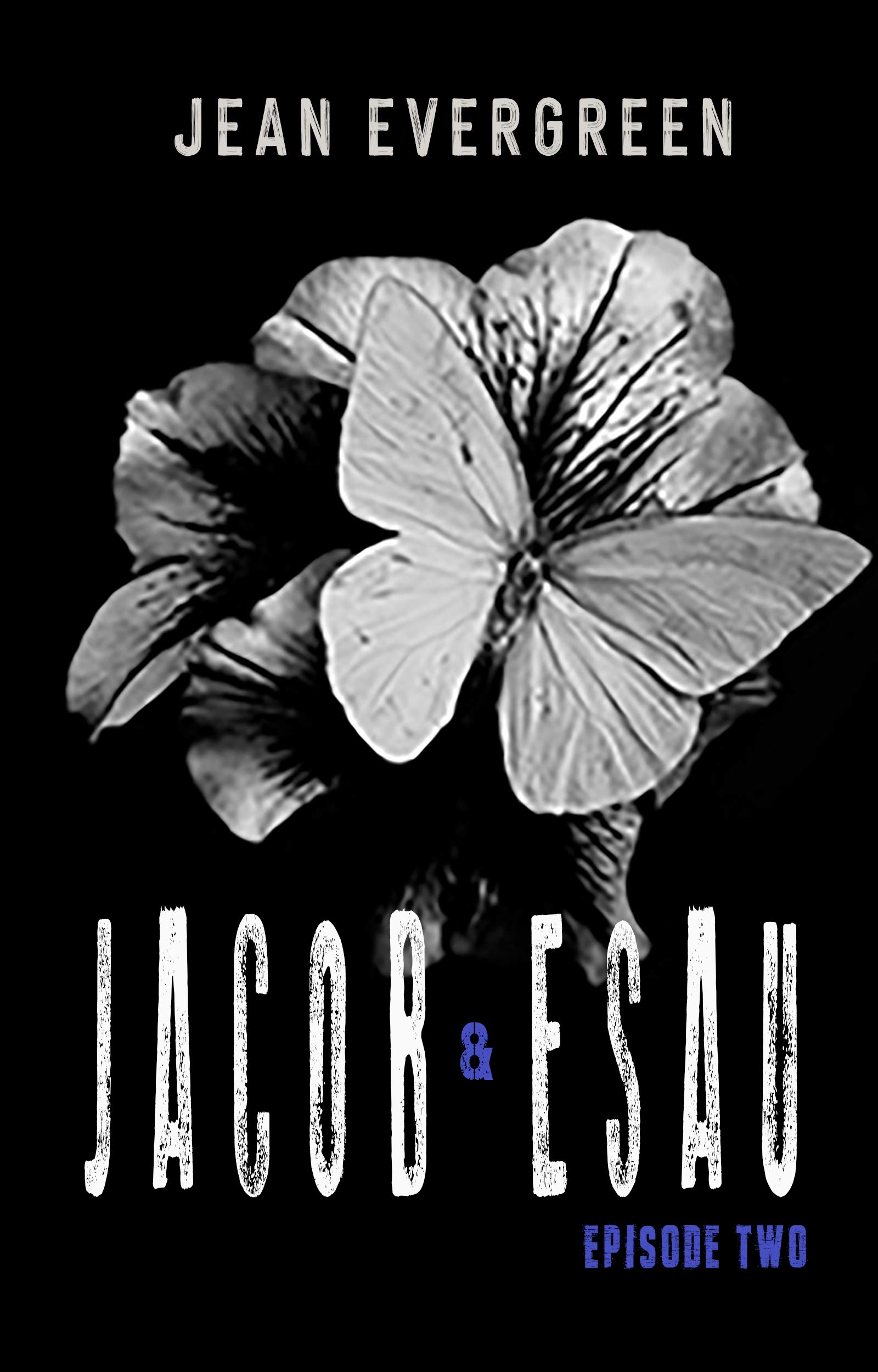Jacob and Esau: Episode Two: a Dark Christian Suspense Family Drama