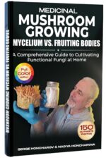 Medicinal Mushroom Growing: Mycelium Vs. Fruiting Bodies a Comprehensive Guide to Cultivating Functional Fungi at Home