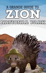 Zion National Park: a Grande Guide for Kids Guides to National Parks For