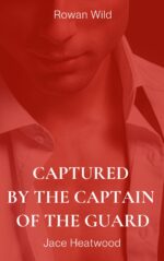 Captured by the Captain of the Guard: Seduced in a Carriage Fantasy