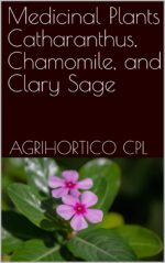 Medicinal Plants Catharanthus, Chamomile, and Clary Sage
