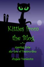 Kitties From the Blog: Starring Evie Aka Eve of Destruction