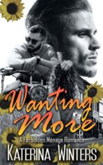 Wanting More: a Small Town Forbidden Romance Town Forbidden Love Book
