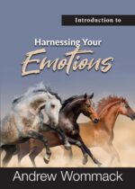 Introduction to Harnessing Your Emotions