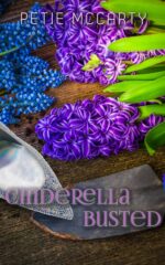 Cinderella Busted Cinderella Romances Book