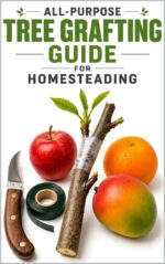 All-purpose Tree Grafting Guide for Homesteading Detailed, Informative Series On