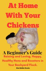 At Home With Your Chickens: a Beginner's Guide Raising and Loving, Happy, Healthy Hens and Roosters in Your Backyard Flock