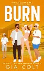 Burn: Hot Forbidden Mmmf Polyamorous Quad Steamy Menage Book