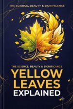 Yellow Leaves Explained: the Complete Guide to Diagnosing, Treating & Preventing Yellow Leaves on Houseplants Rescue