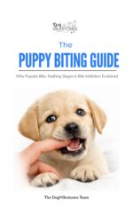 The Puppy Biting Guide: Why Puppies Bite, Teething Stages & Bite Inhibition Explained Milestones™: the Puppy Biting Guide Book