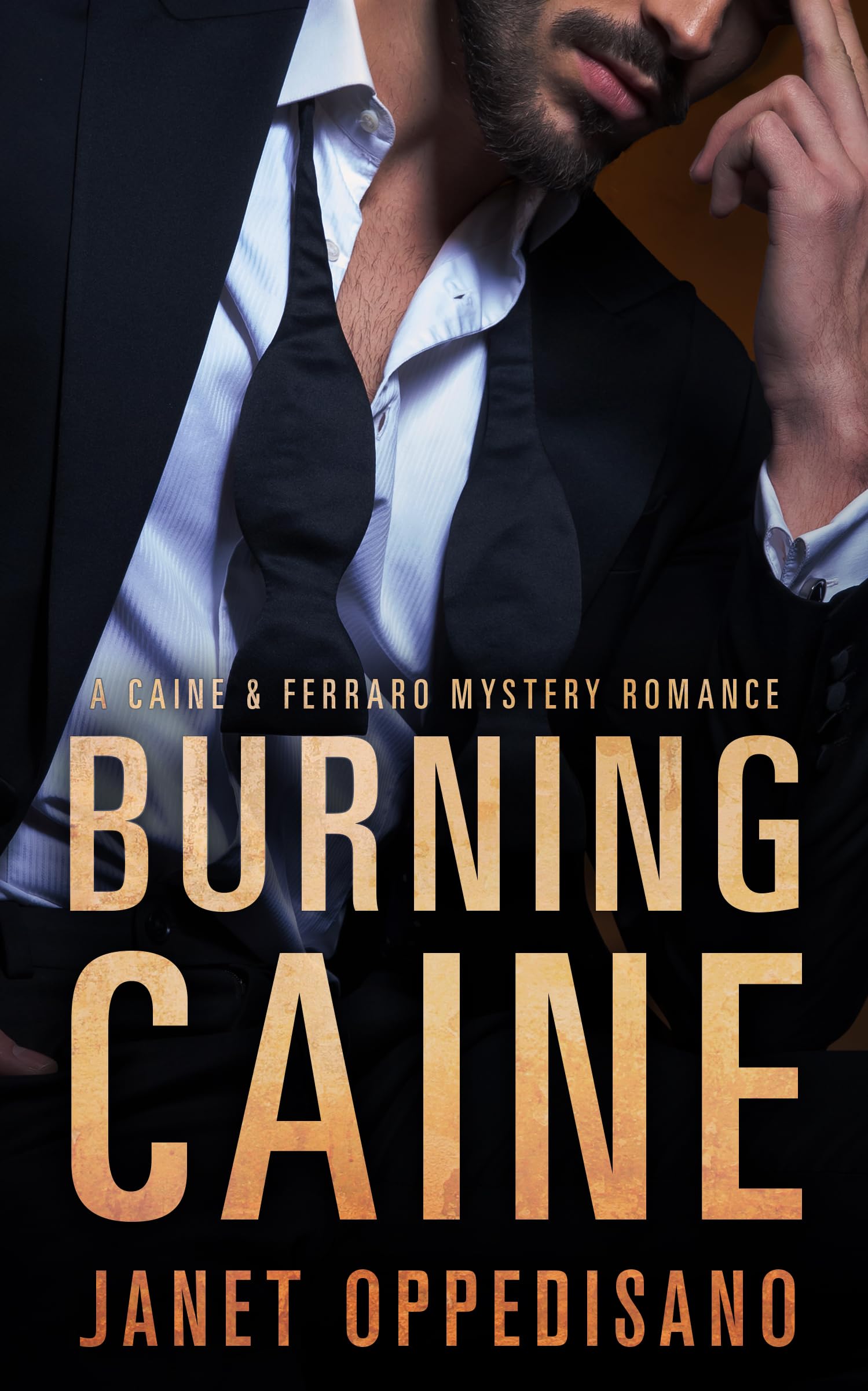 Burning Caine: a Slow Burn Romantic Suspense Mystery & Ferraro Book