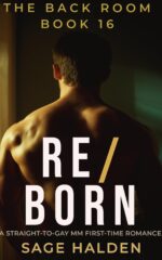Re/born: Straight to Gay Mm First Time Paramedic: a Dark Gay Awakening Romance Back Room Book