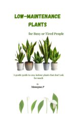 Low-maintenance Plants for Busy or Tired People: a Gentle Guide to Easy Indoor Plants That Don’t Ask for Much
