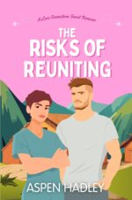 The Risks of Reuniting: a Love Connections Sweet Romcom