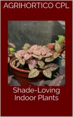 Shade-loving Indoor Plants