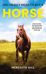 Did I Really Mean to Buy a Horse: What to Do When Your Horse Is Acting Like a Monster, and When to Call for Help