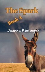The Spark: Book 4: Road Meets Faith