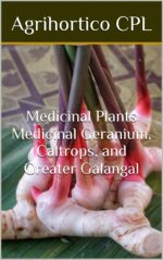 Medicinal Plants Medicinal Geranium, Caltrops, and Greater Galangal