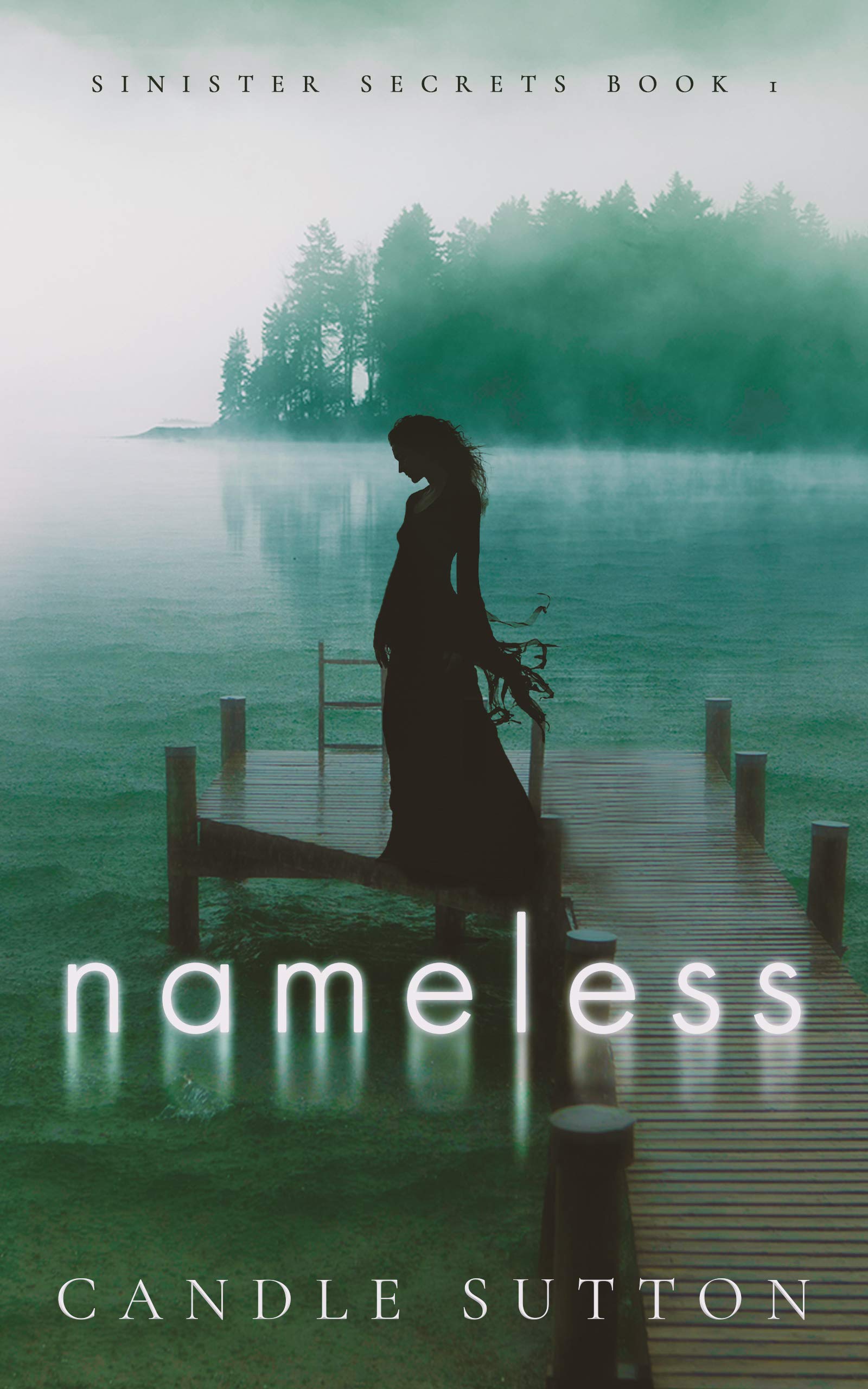 Nameless Secrets Book