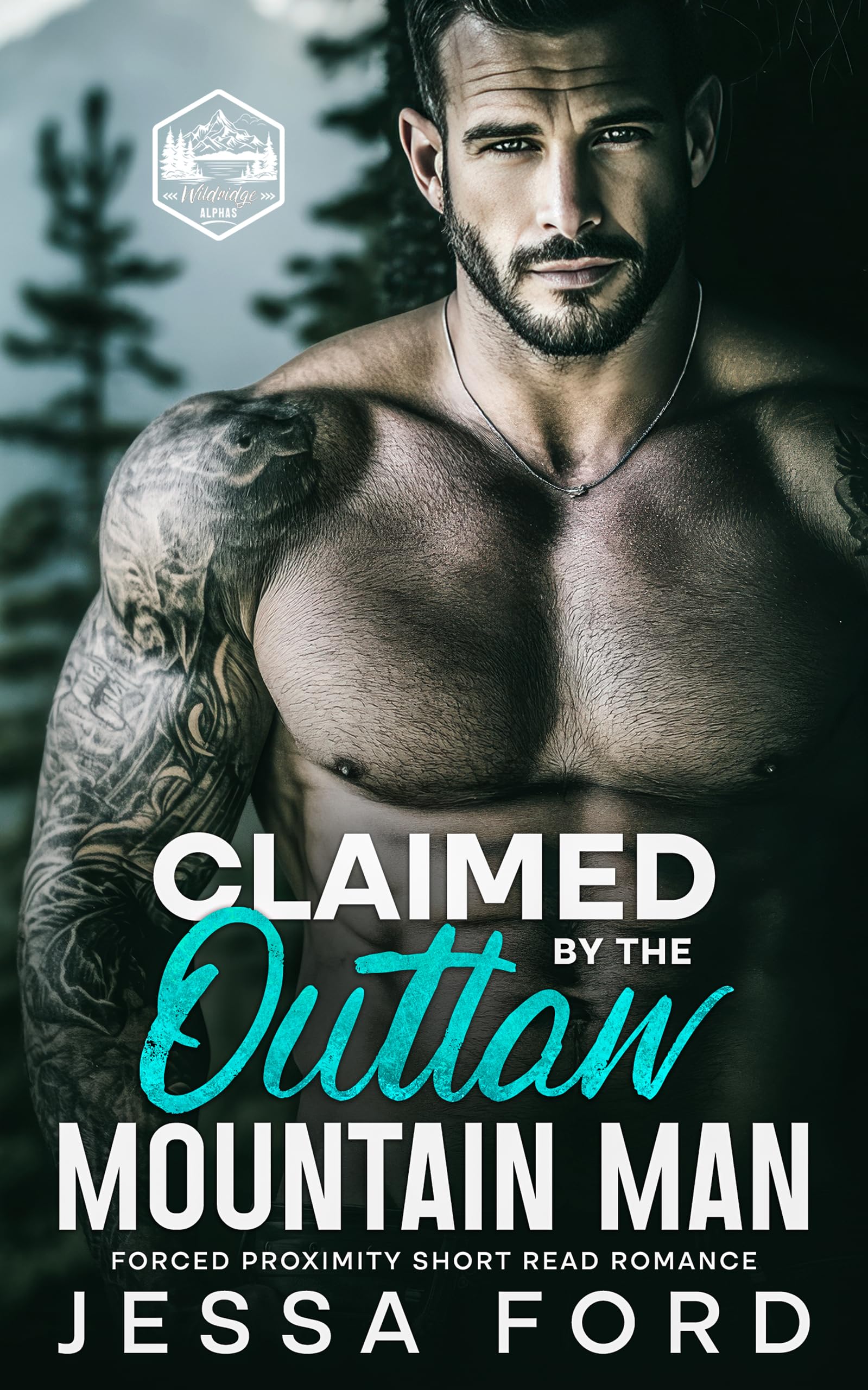Claimed by the Outlaw Mountain Man: Forced Proximity Quick Read Romance Alphas Book