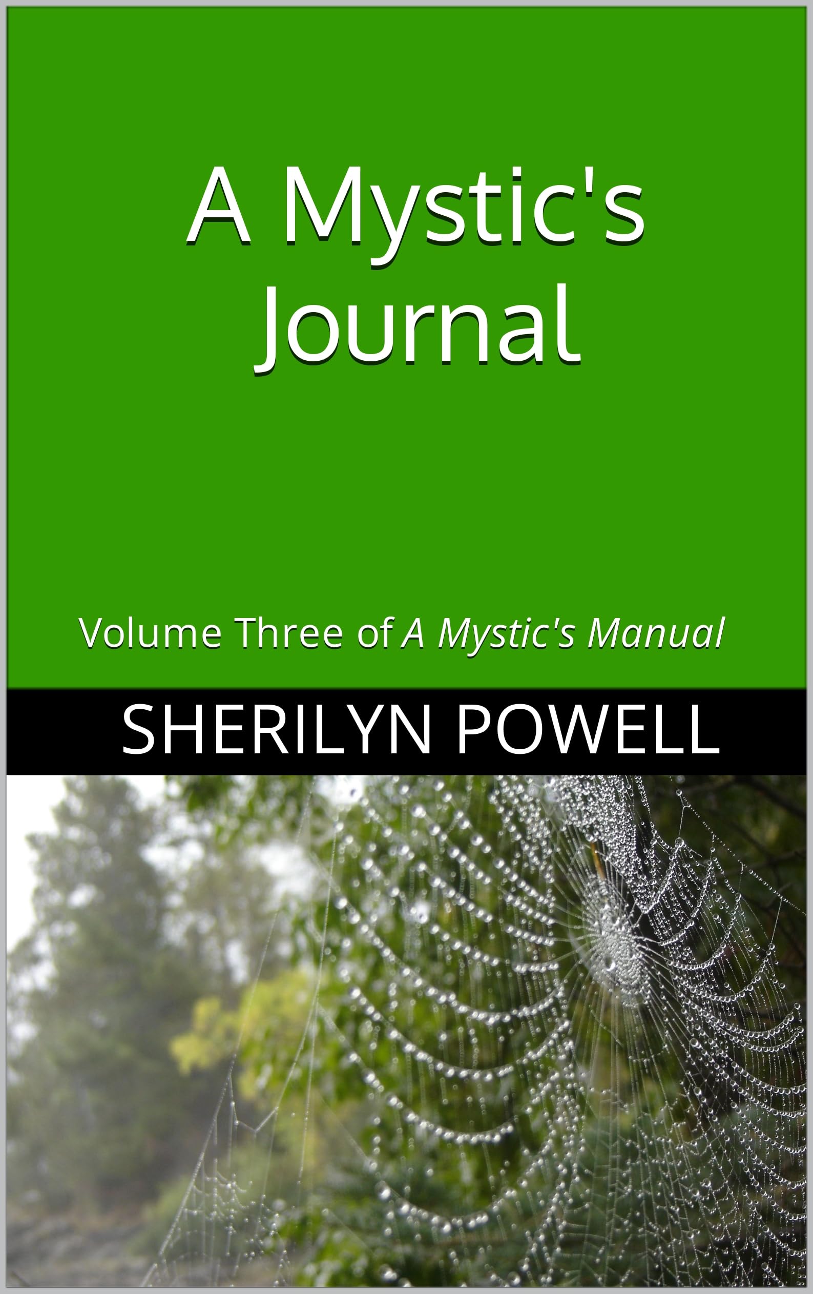 A Mystic's Journal: Volume Three of "a Mystic's Manual"
